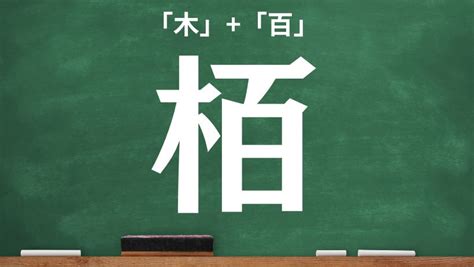 木卓 漢字|木へんに卓の読み方は？「棹」の4つの音読み訓読み